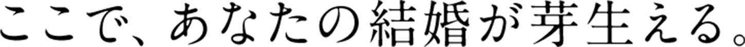 ここで、あなたの結婚が芽生える。