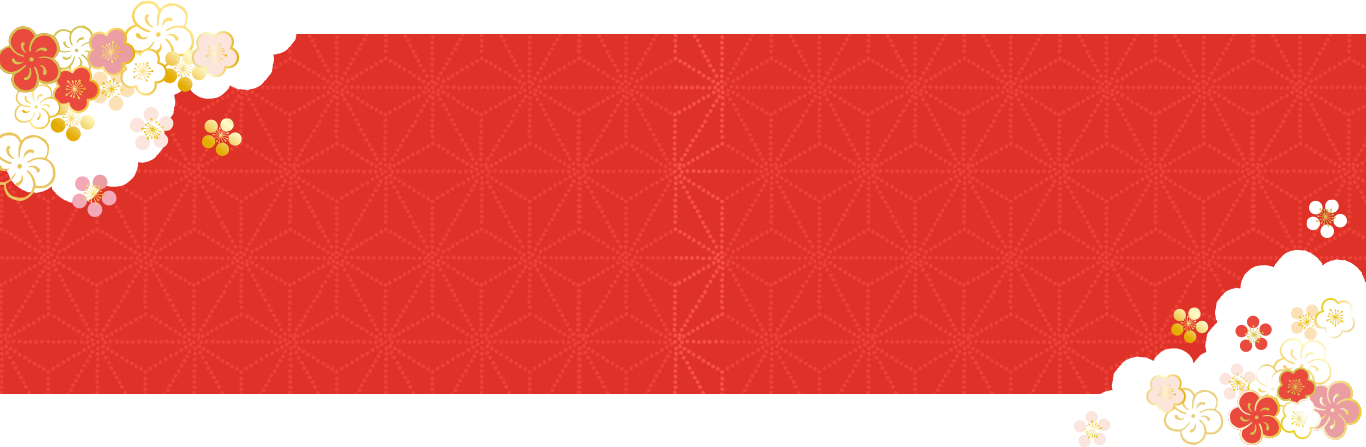 登録料50%OFF(16,500円)の新春婚活応援キャンペーン実施中