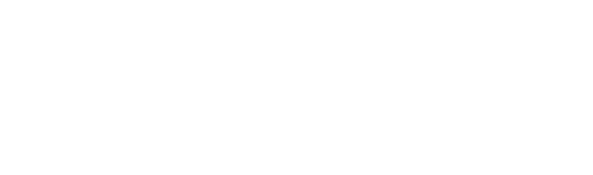 あなたのための成婚特別戦略×48年の実績